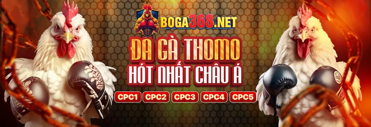 Hình ảnh Chính sách bảo mật của 789pp